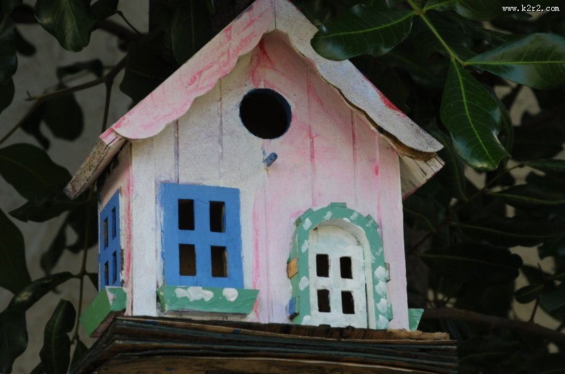 木制鸟屋图片