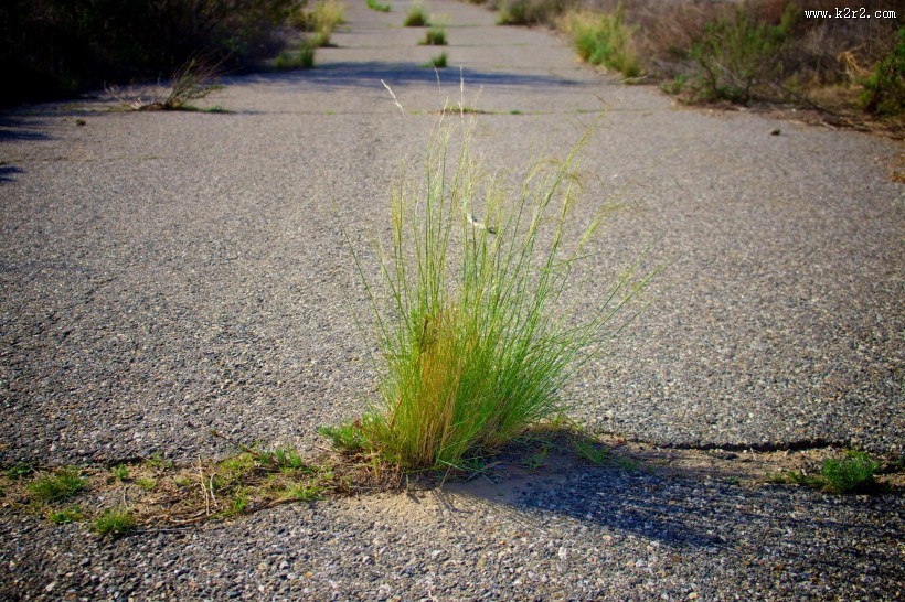废弃曲折的柏油路图片
