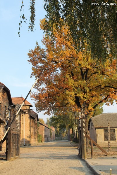 奥斯维辛集中营图片