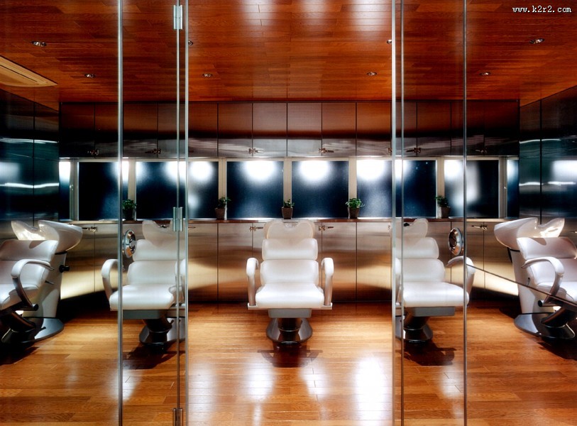 salon mimosa-深田恭通作品图片大全