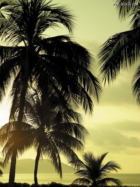 香格里拉金沙滩度假村外观图片