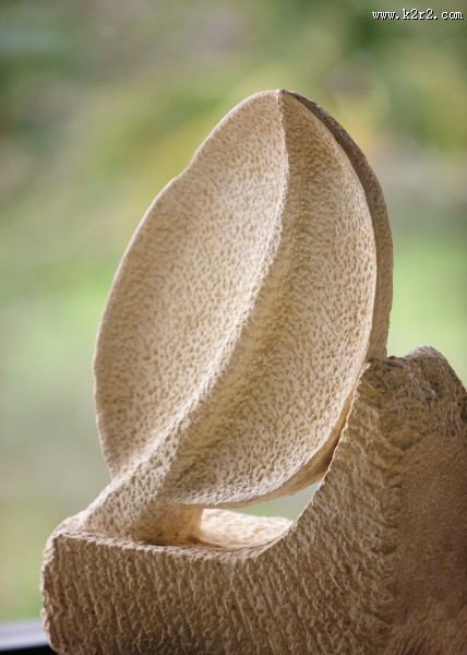 香格里拉莎利雅度假酒店外观图片