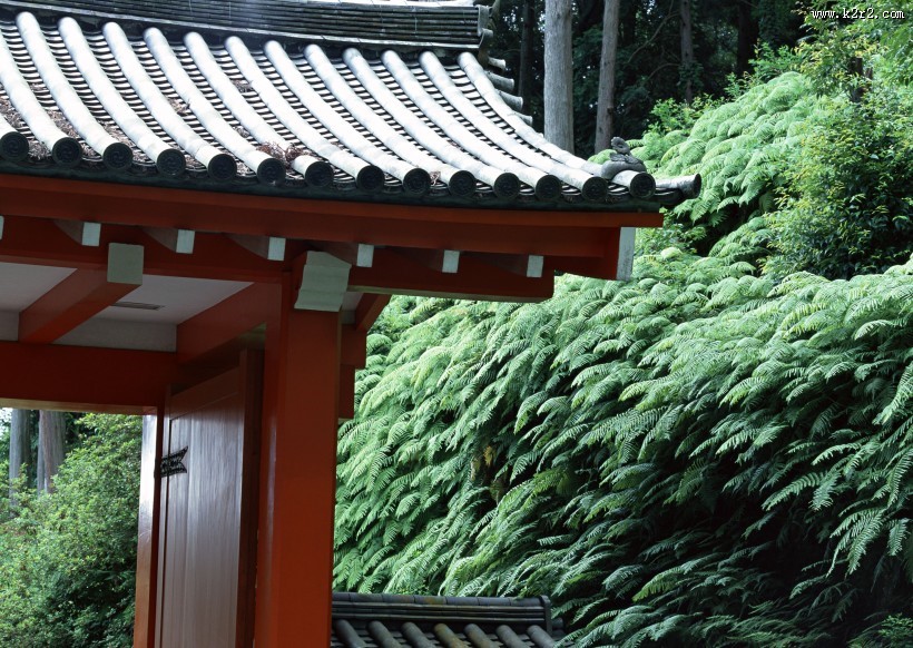 日式屋顶屋檐图片
