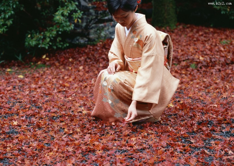 日式庭院和枫叶图片