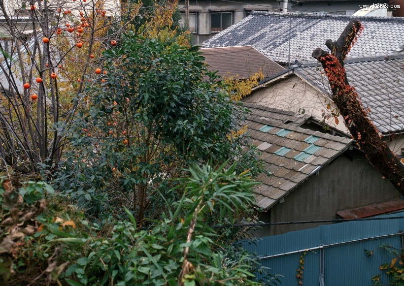居民生活小巷特写图片