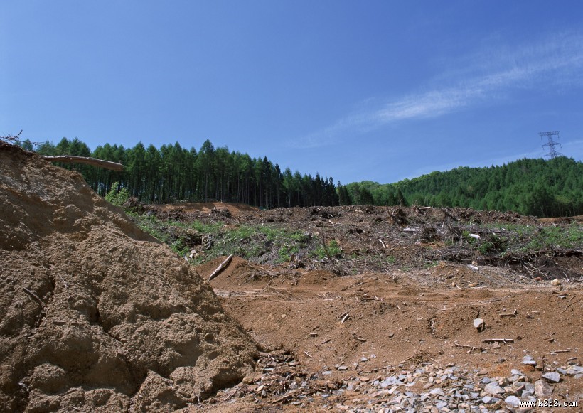 环境污染问题图片大全