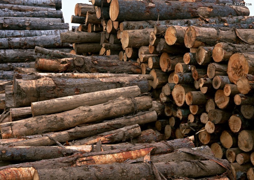 环境污染问题图片大全