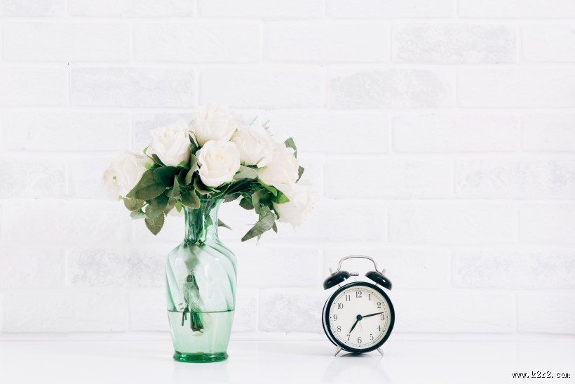 淡雅居家生活装饰图片大全