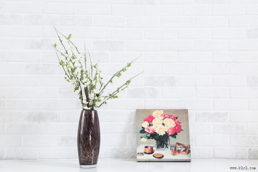 淡雅居家生活装饰图片大全