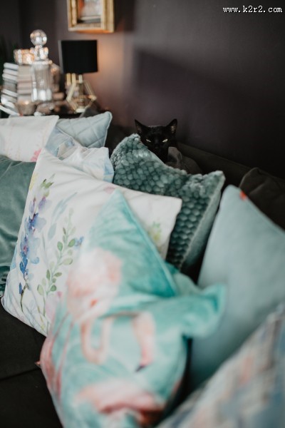 客厅里舒适的沙发图片