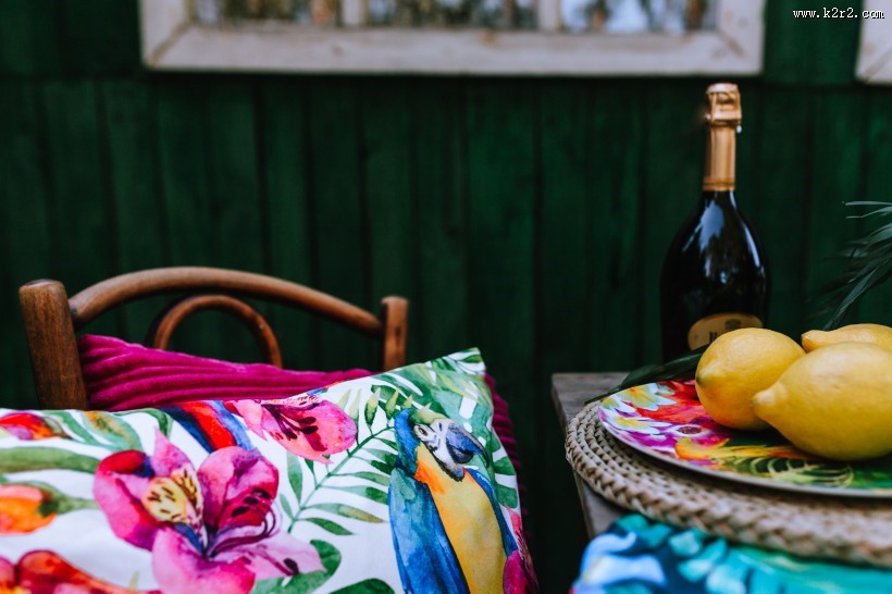 充满热带风格的图片大全