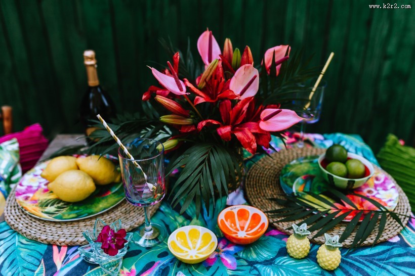 充满热带风格的图片大全