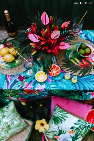 充满热带风格的图片大全