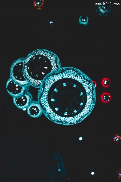 漂亮的彩灯图片