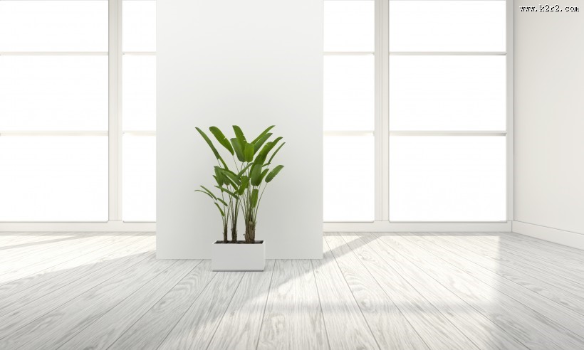 简洁家居设计图片