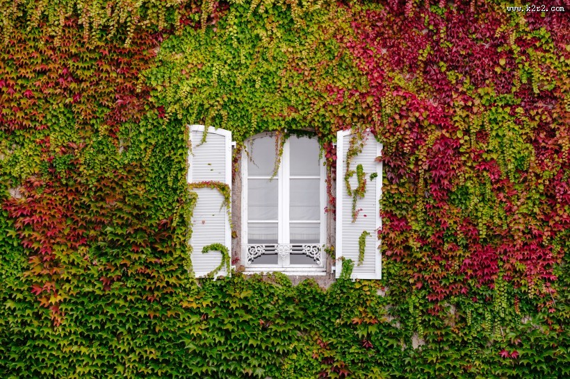 外形各异的窗户图片