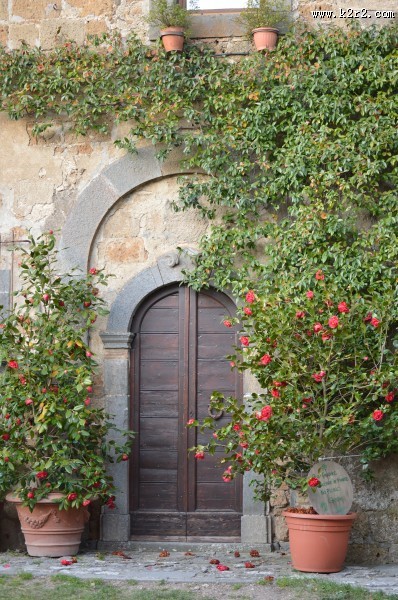 好看的欧式门图片