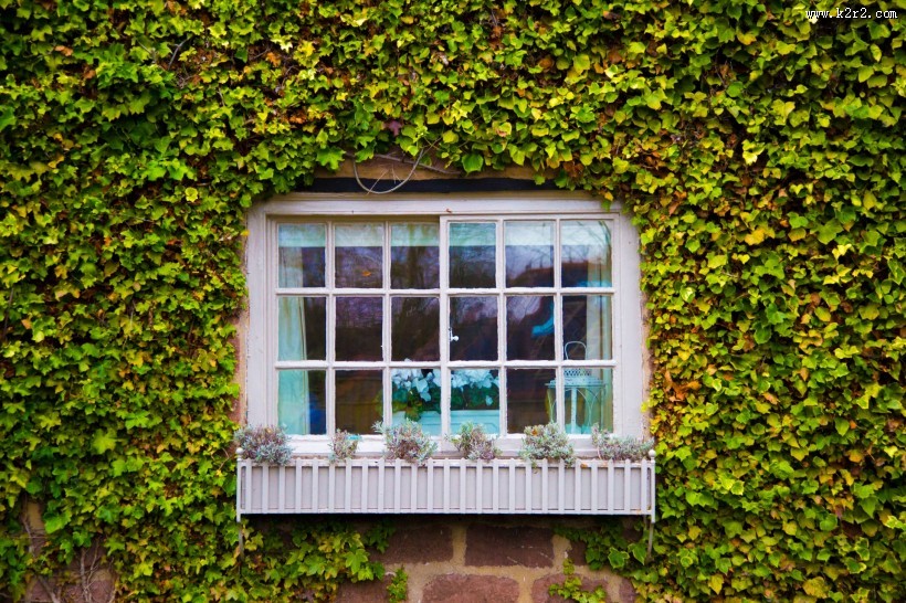 欧式窗户图片大全