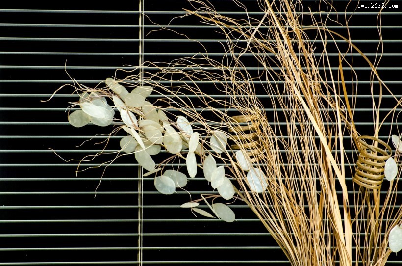 植物装饰的窗户图片