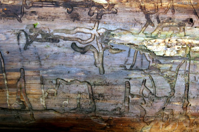 胡乱涂鸦的墙面图片大全