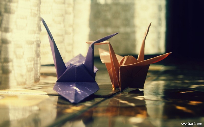 清新的窗帘图片大全