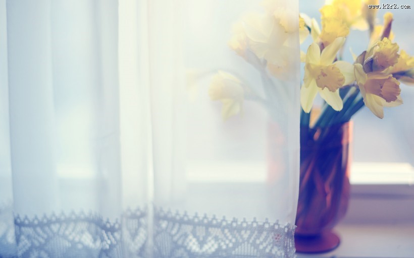 清新的窗帘图片大全