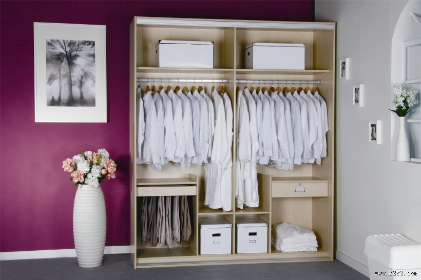 简单的衣柜图片大全
