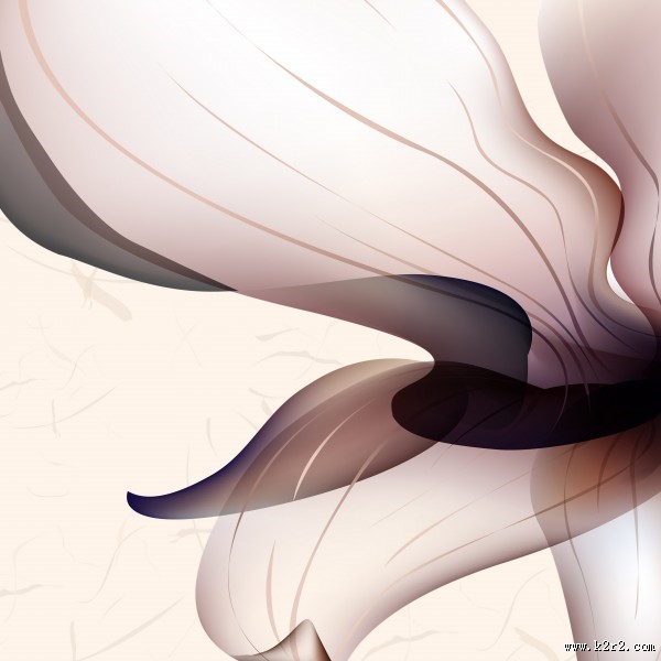 端庄大气花朵三联画图片