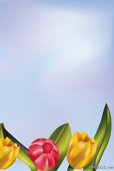 端庄大气花朵三联画图片