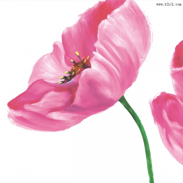 油画花朵三联画图片