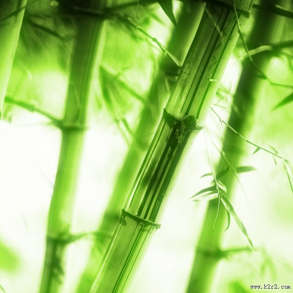 绿色清新家居三联画图片