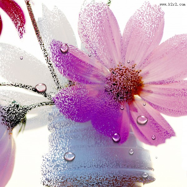 高清花朵家居三联画图片