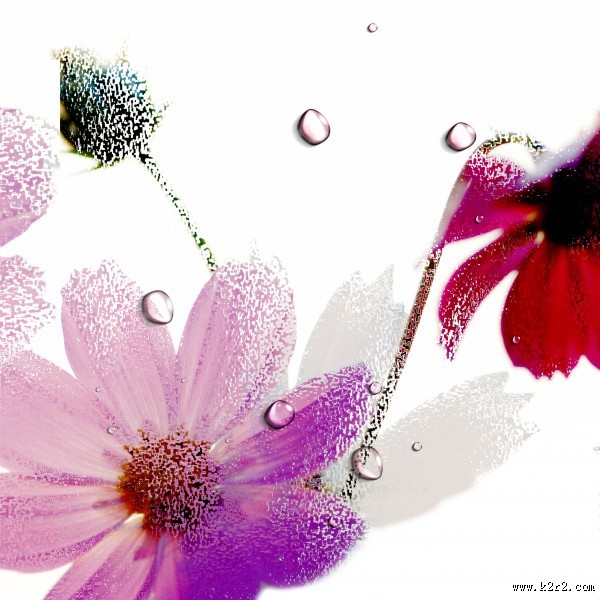 高清花朵家居三联画图片