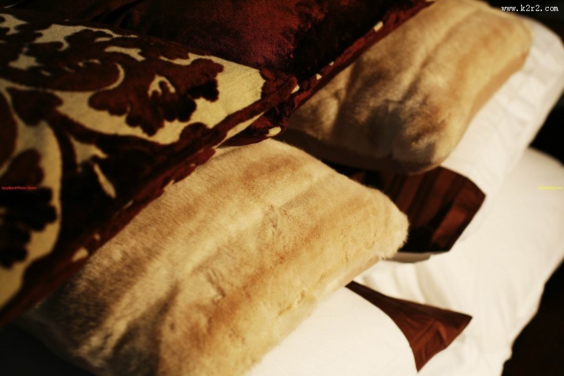 梁志天-上海浦东汤臣一品细节图片