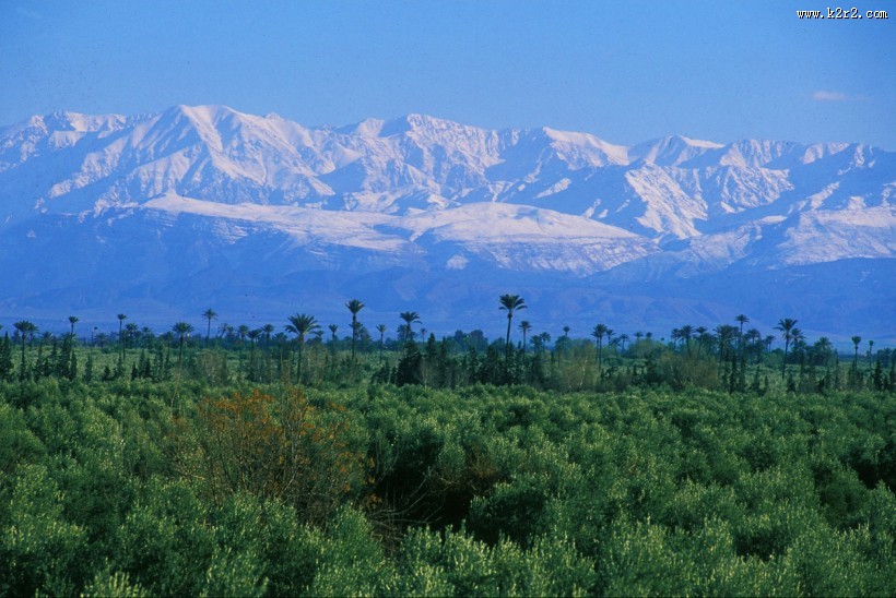 文华东方酒店集团发展图片