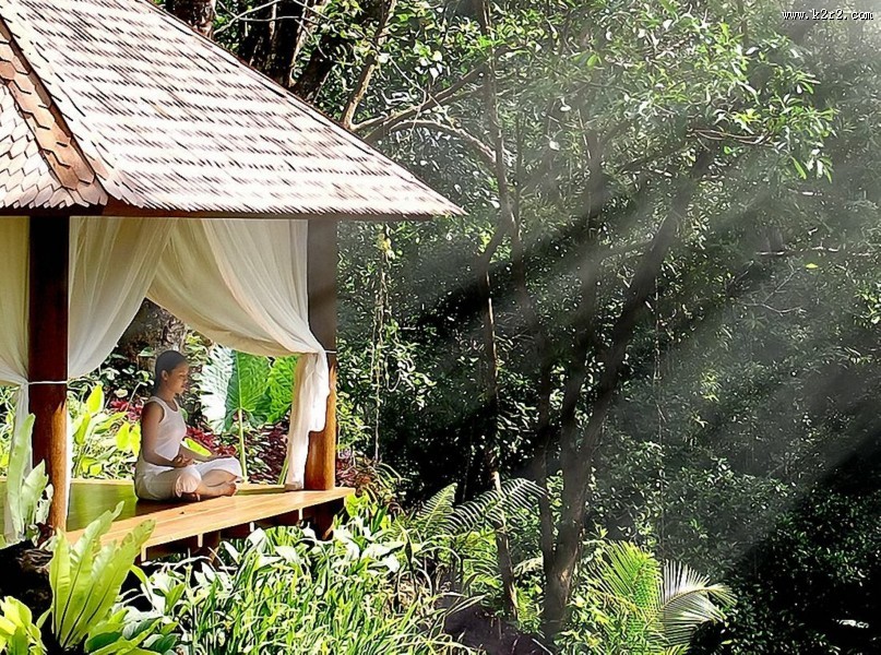 玛雅乌布度假村图片