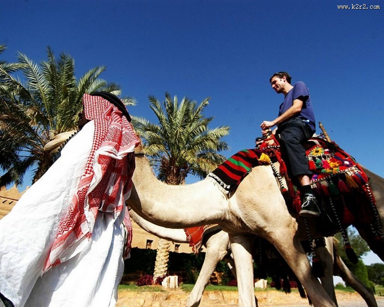 利雅得四季酒店图片