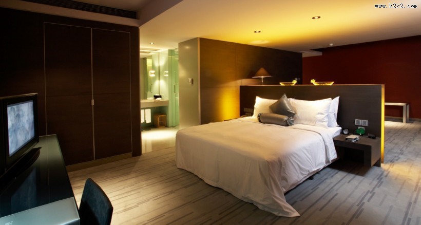 珞珈山国际酒店装潢设计图片大全