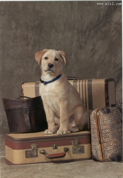 彩云之南的传说-室内设计案例图片大全