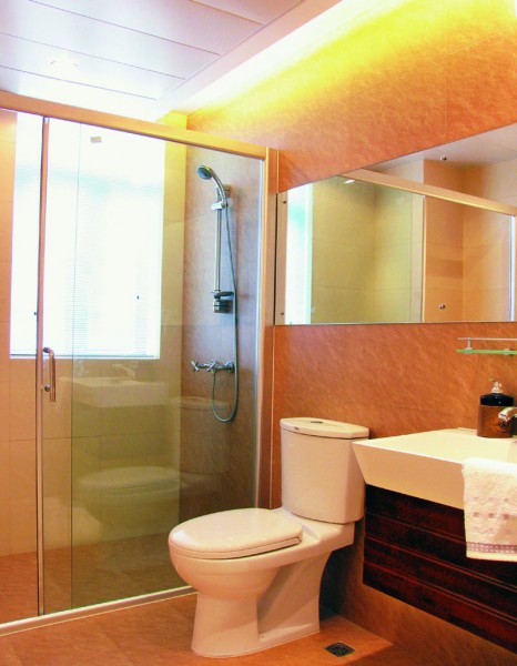 世纪绿洲样板房设计图片