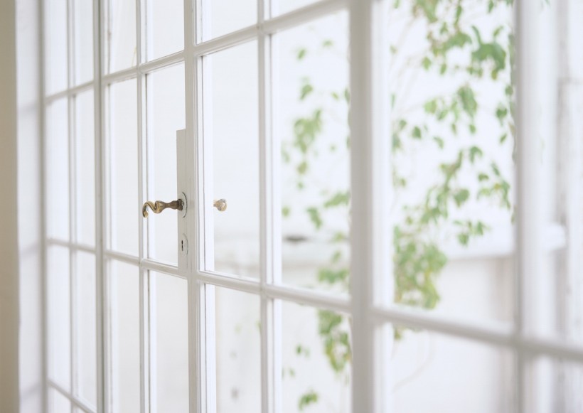 家居花草植物盆栽摆设图片大全