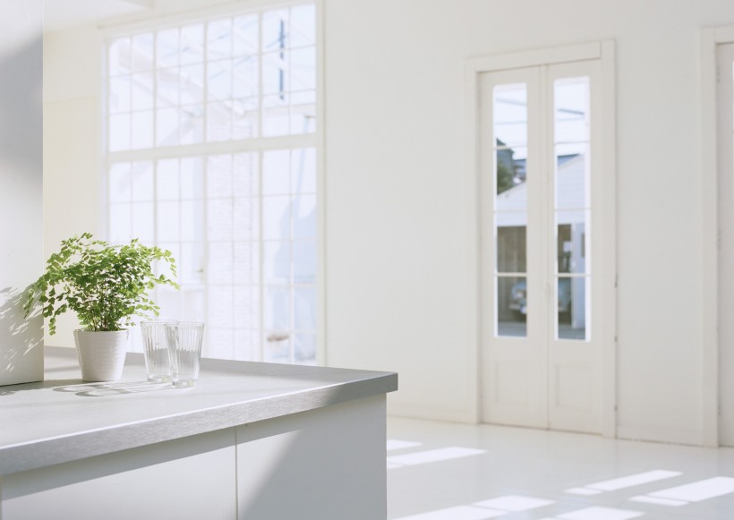 家居花草植物盆栽摆设图片大全