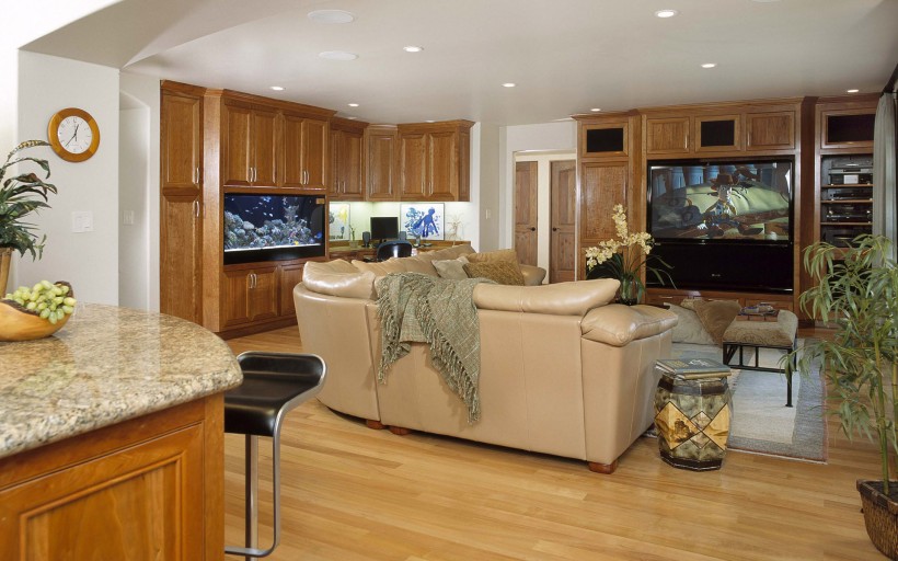 时尚客厅设计图片大全