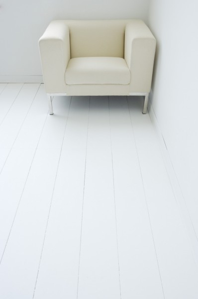 家居静物盆栽特写图片