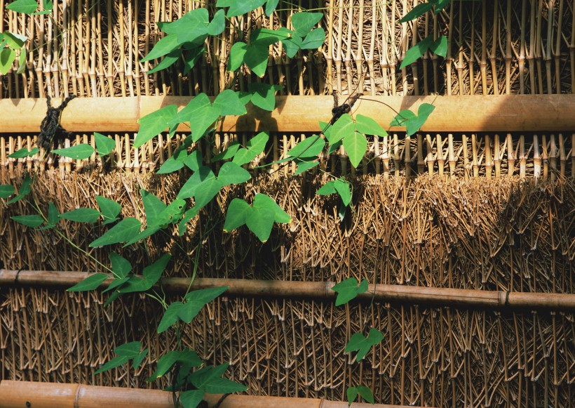 日式小屋图片大全