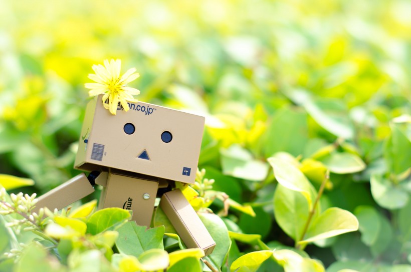 阿楞纸箱人图片大全