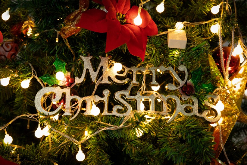 圣诞节布置的圣诞树图片