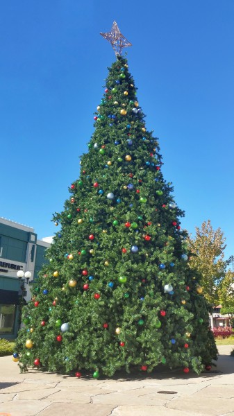 装饰精美的圣诞树图片大全