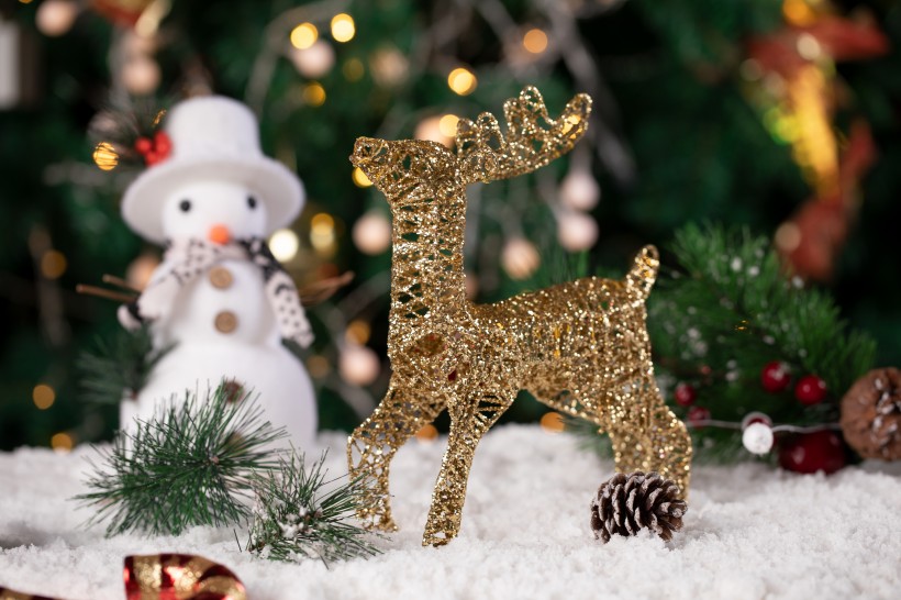 圣诞节小装饰品图片大全