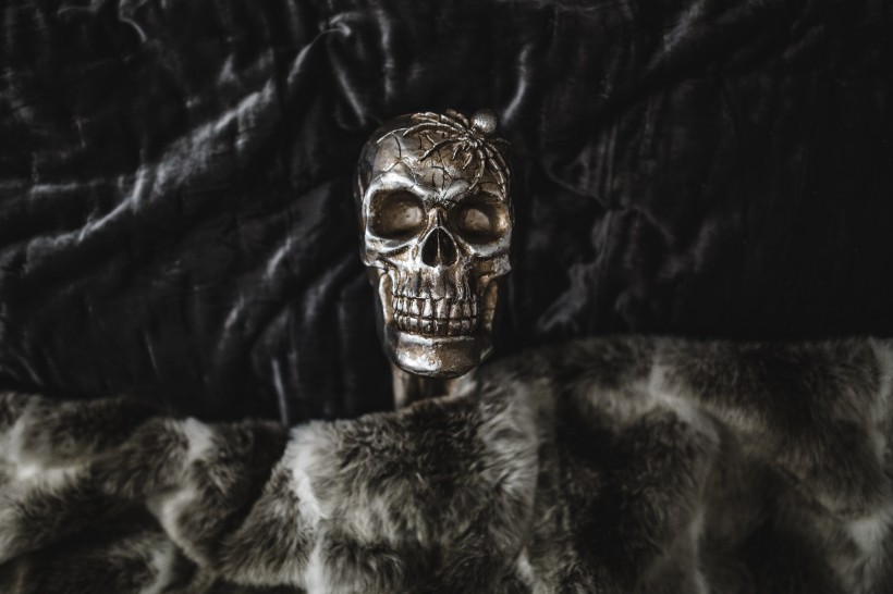 万圣节头骨装饰图片